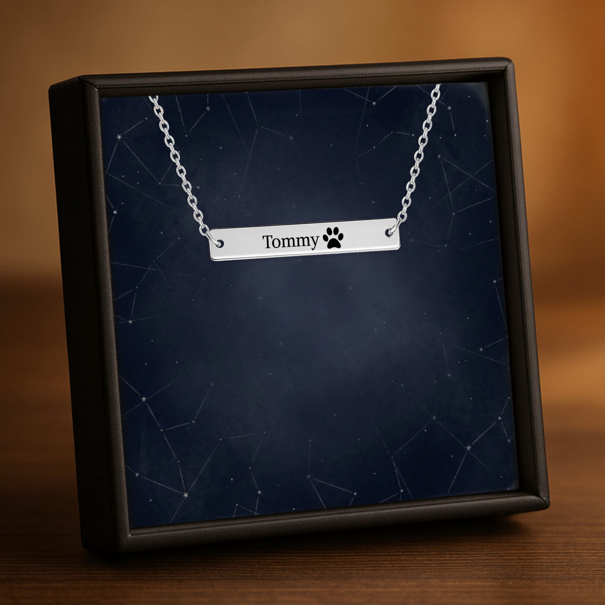 De horizontale staafketting in zilverkleur, in een geschenkdoosje